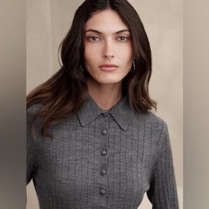 NWT | Banana Republic | Nezha Merino Sweater Polo